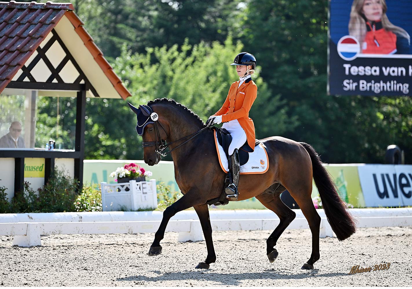Tessa van Hemert Dressage