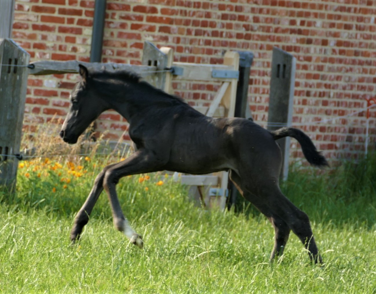 Stal VD Kwaplas