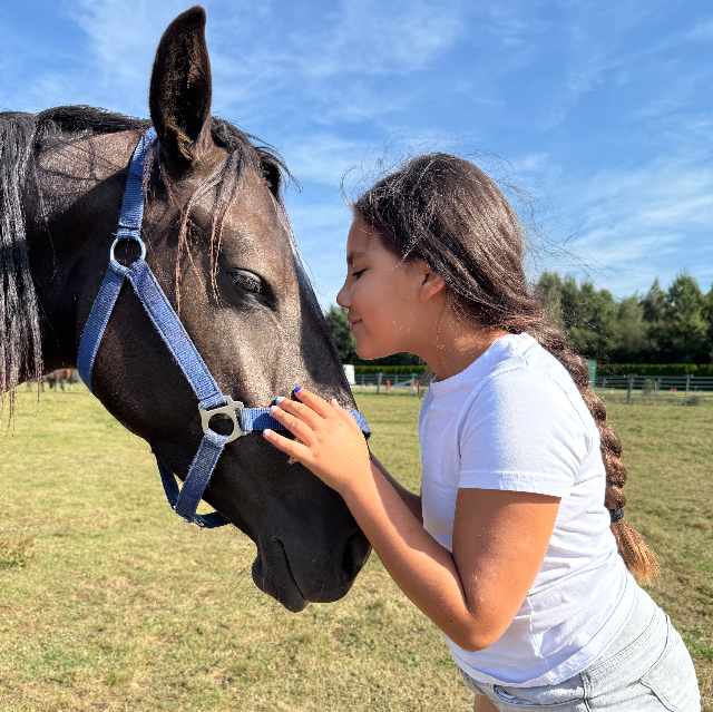 Promising Lusitano mare “Smokey Black” (4 years) – fine character & beautiful gaits