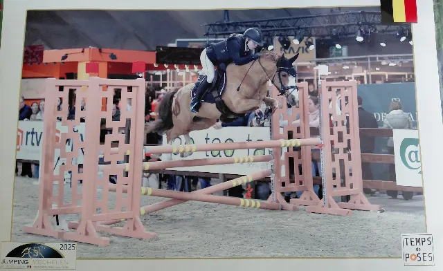 ihana all-round D-poni