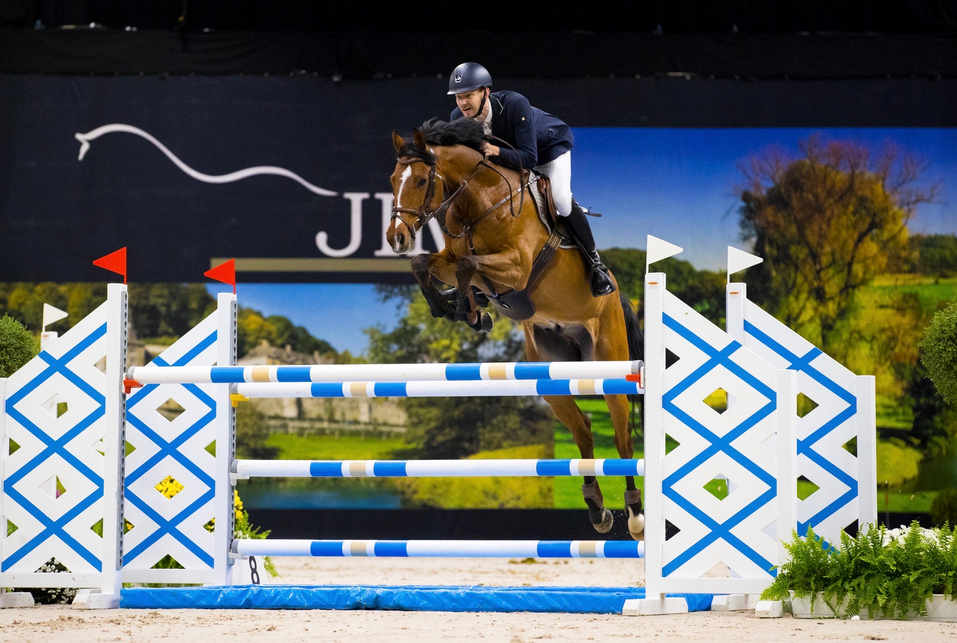 Topkwaliteit 1.40m springpaard – Perfect Diamond