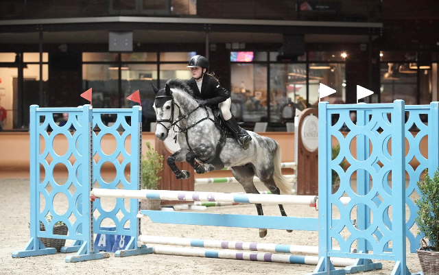 Leuke springpony 
