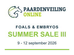 Paardenveilingonline - Foals & embryos | Summer Sale III, 9-12 september 2026 (online)
