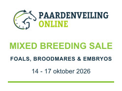 Paardenveilingonline - Mixed breeding sale | Foals, broodmares & embryos, 14-17 oktober 2026 (online)