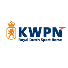 出售中的KWPN盛装舞步马:荷兰顶级品质,助力国际盛装舞步运动