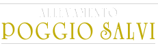 Allevamento Poggio Salvi