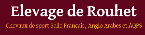 Domaine de Bouzillé