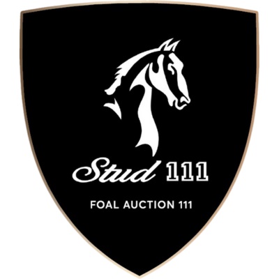 Foal Auction 111