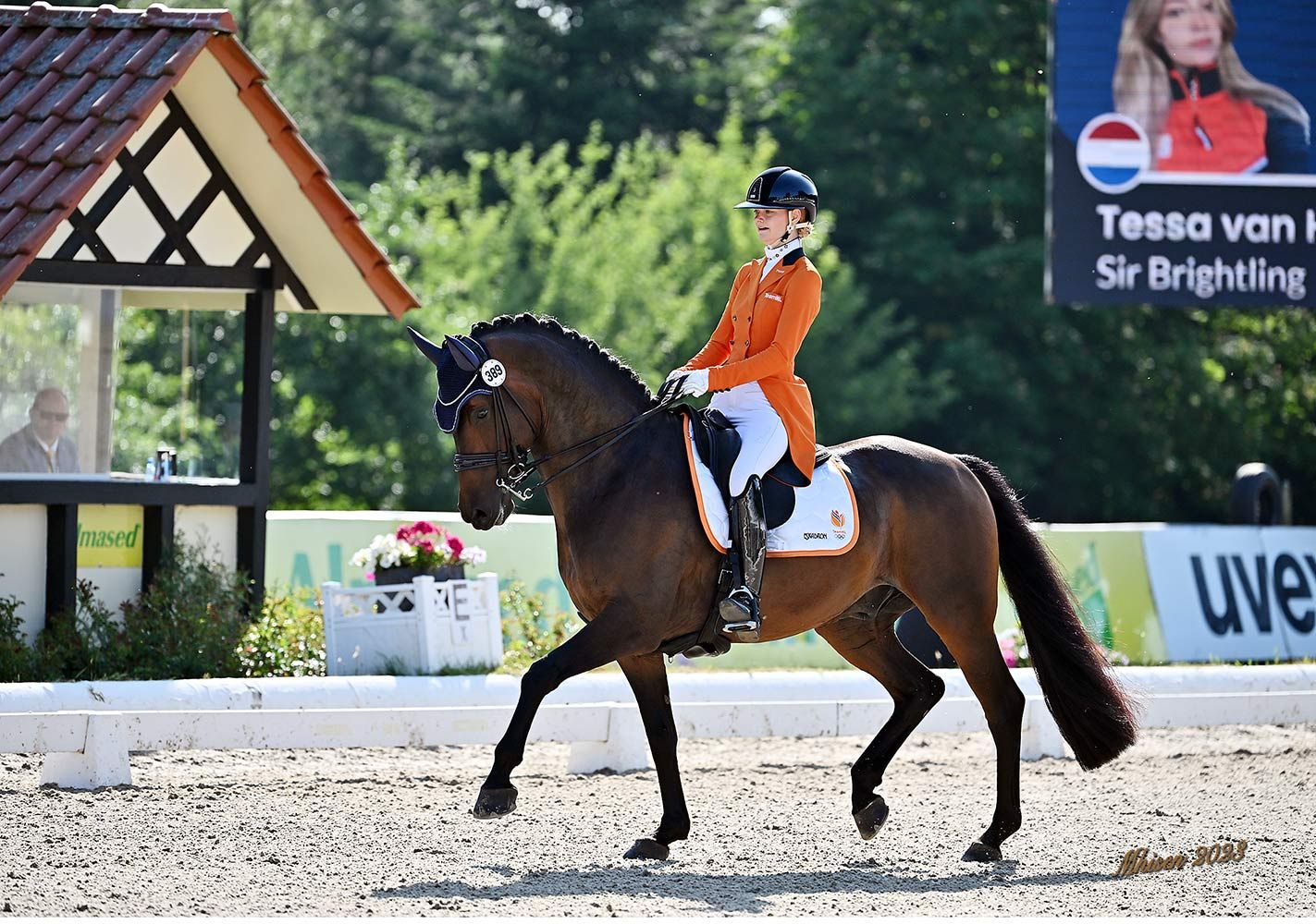 Tessa van Hemert Dressage