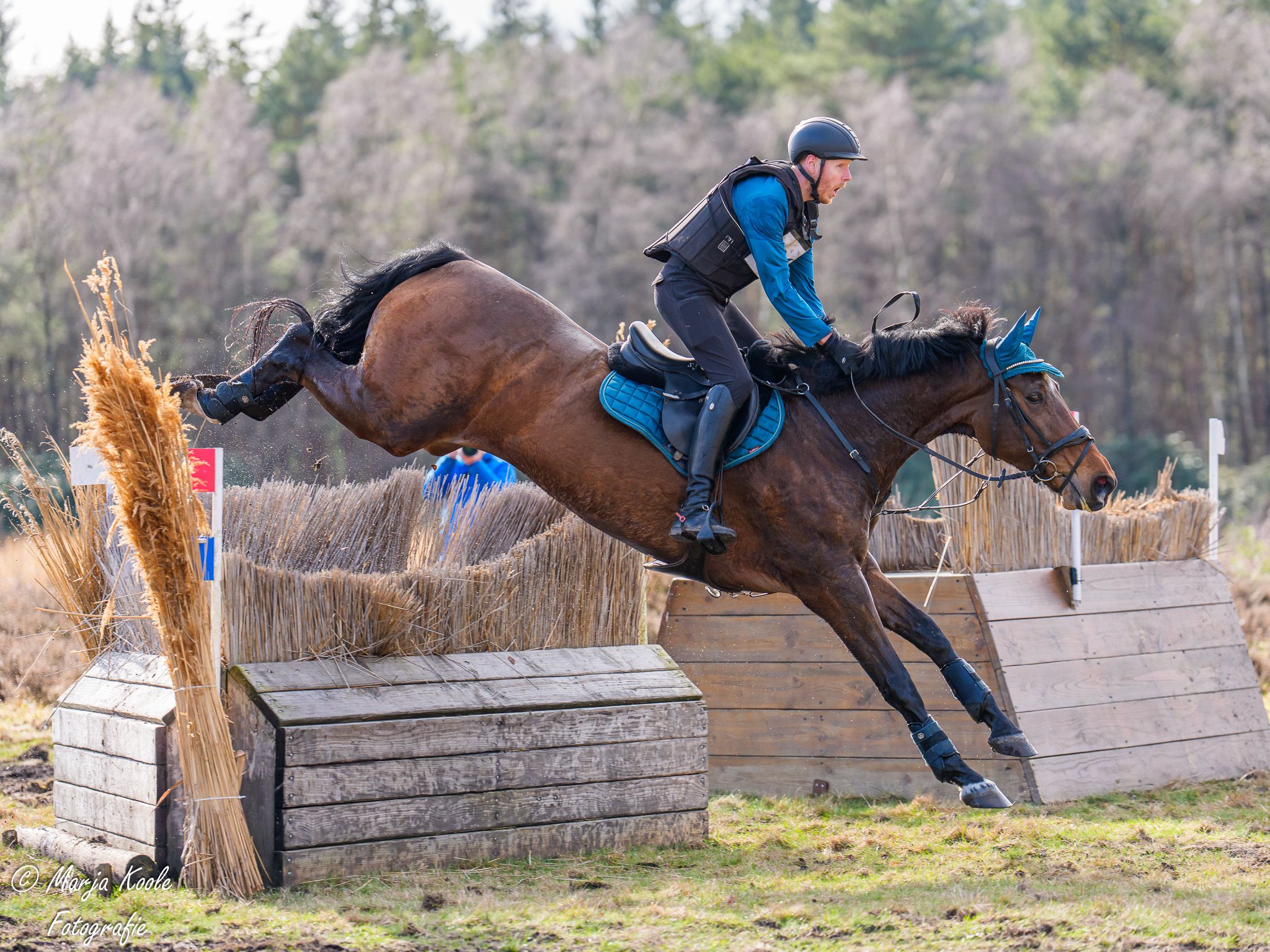 Elegantia Horses