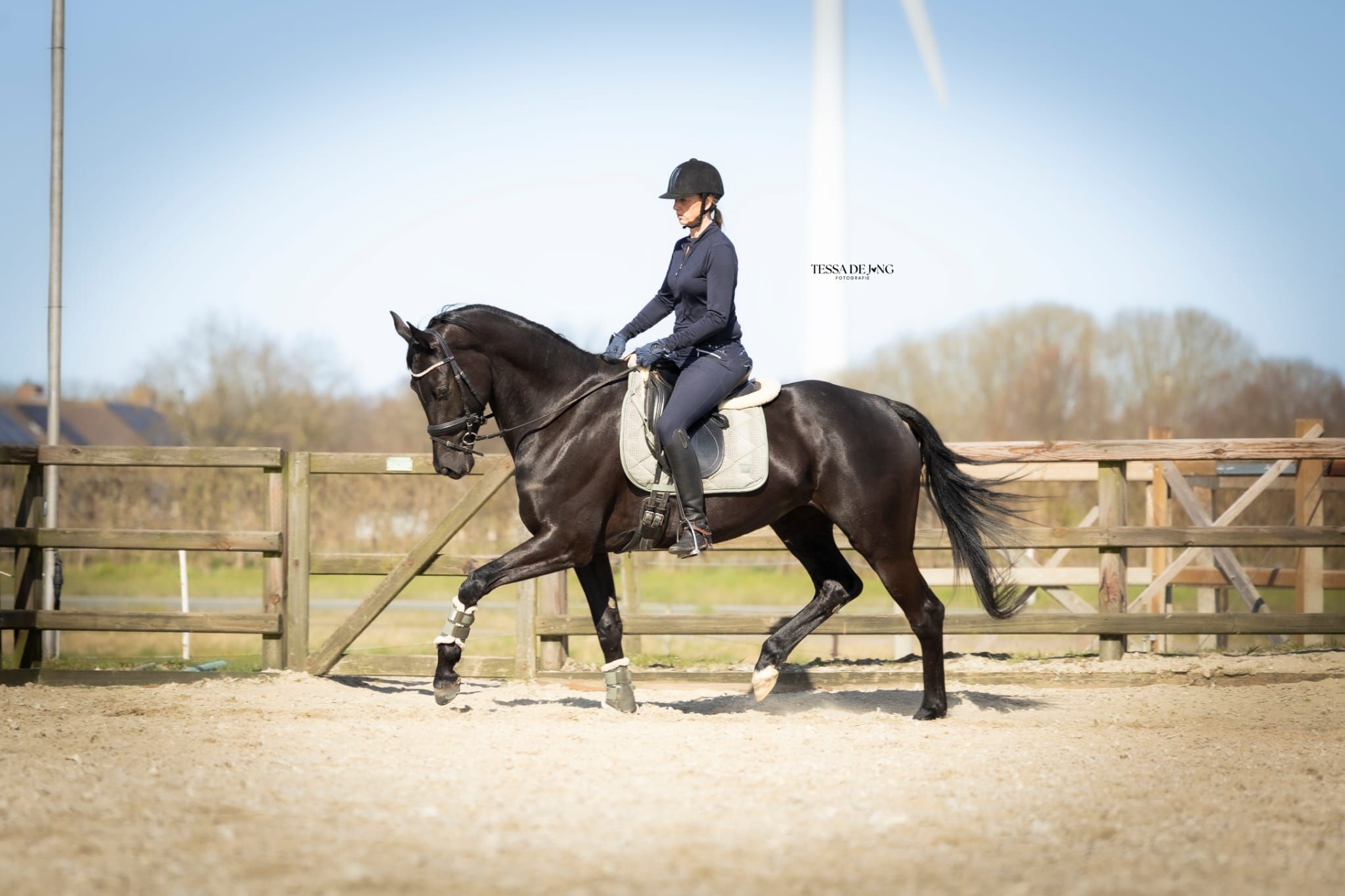 Paulien