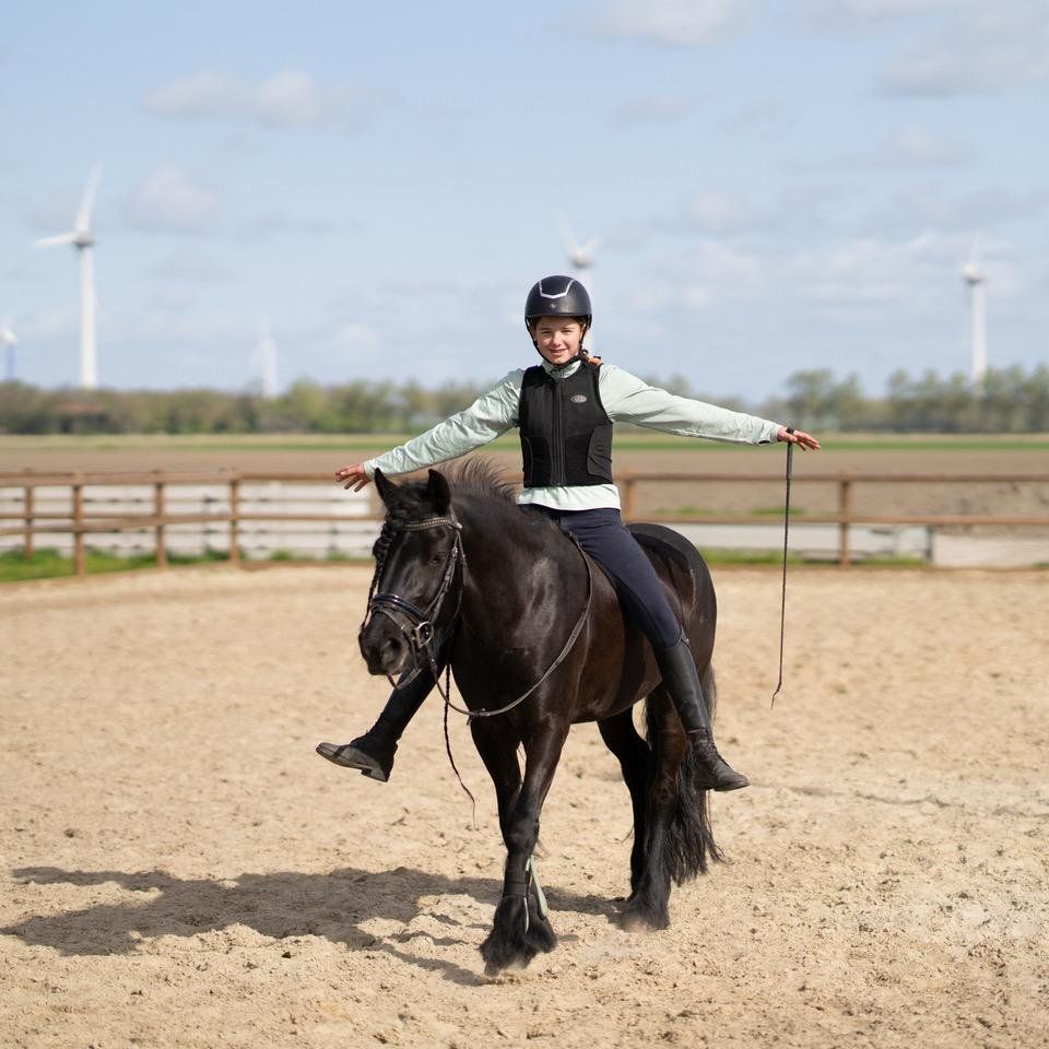 ander dressuurpony merrie 14 jaar zwart te koop - Foto 5