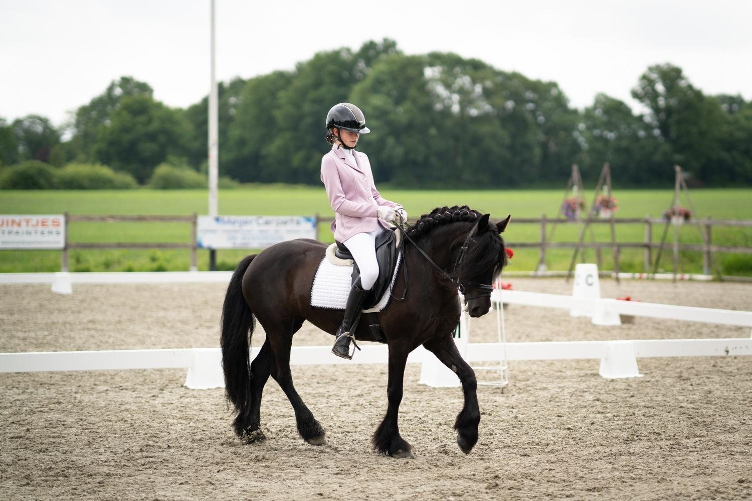 Mooie Fellpony