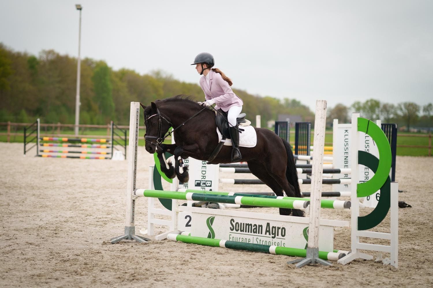 ander dressuurpony merrie 14 jaar zwart te koop - Foto 3