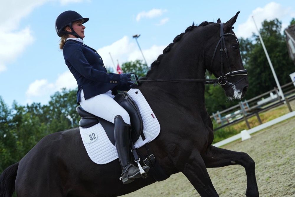 KWPN dressuurpaard Ruin 13 jaar Zwart te koop - Foto 2