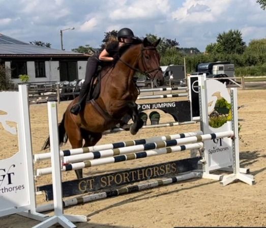 knappe betrouwbare ruin