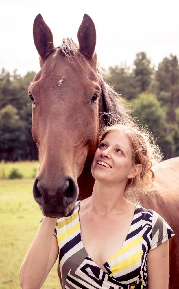 BWP allrounder Ruin 12 jaar Bruin te koop - Foto 3