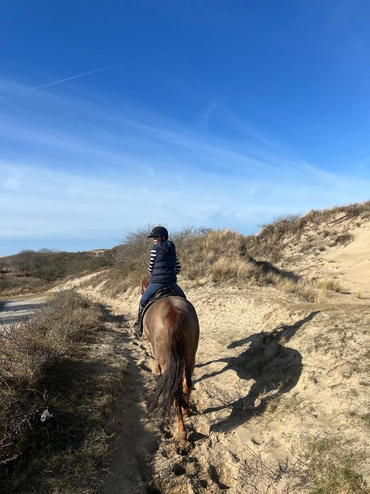 KWPN recreatie paard Merrie 8 years old Vos for sale - Photo 5