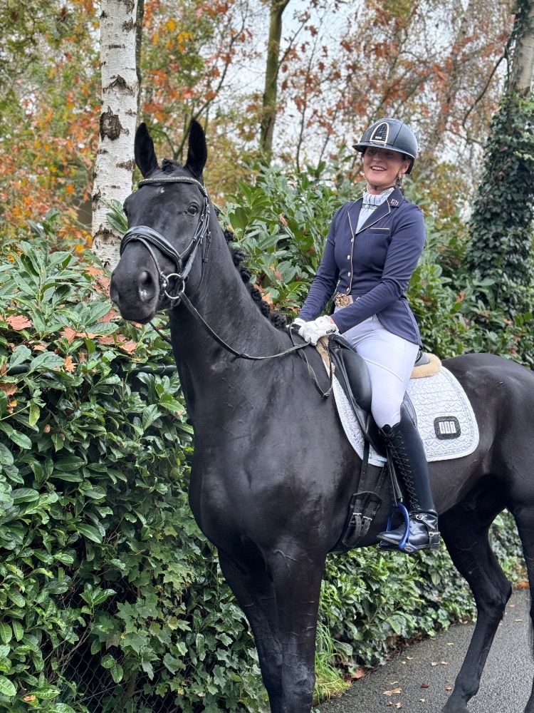 Hannover dressuurpaard Ruin 5 jaar Zwart te koop - Foto 4