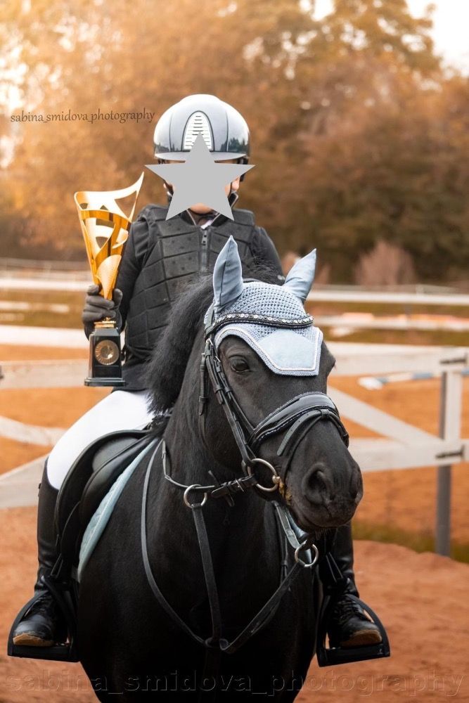 Winning pony - Czech champion pony