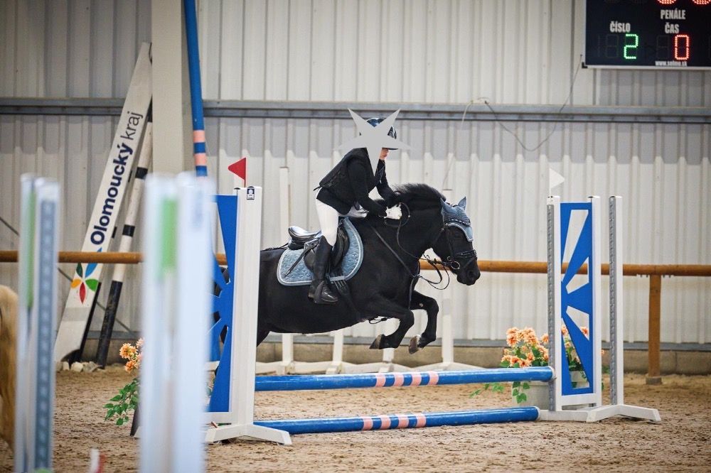pony 11 jaar Zwart te koop - Foto 2