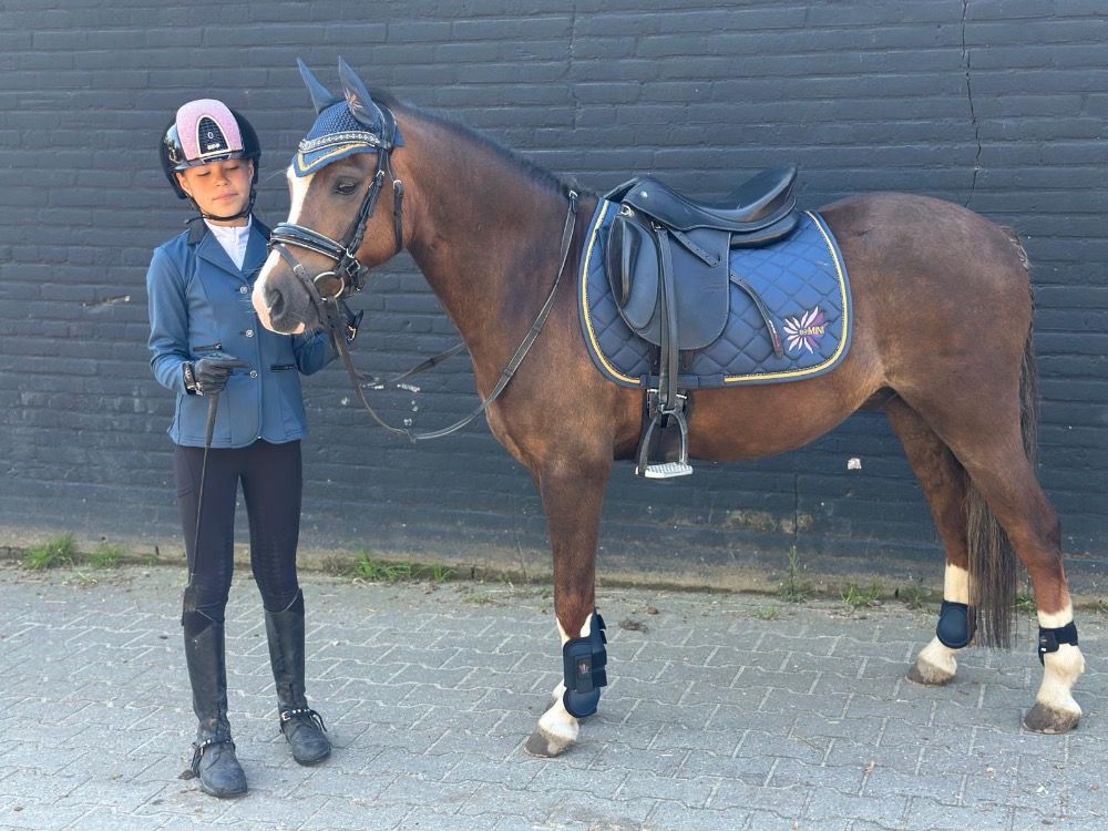 allround-pony Ruin 7 jaar Vos te koop - Foto 4
