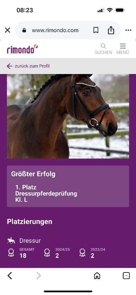 Oldenburg dressuurpaard Ruin 6 jaar Donkerbruin te koop - Foto 4