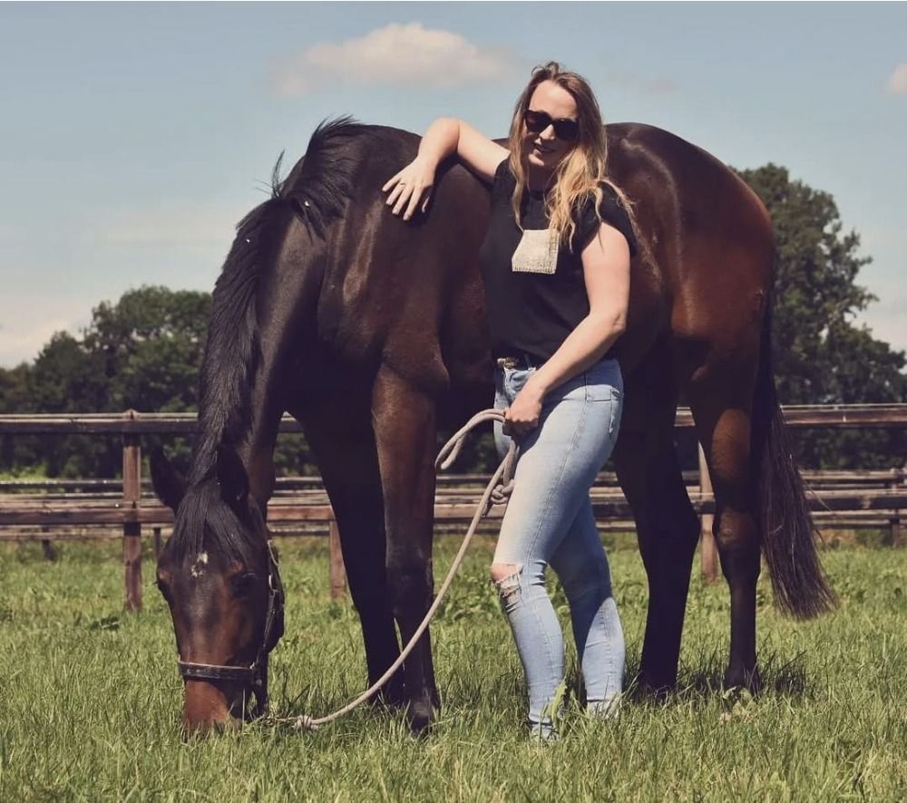 KWPN dressuurpaard Ruin 3 jaar Donkerbruin te koop - Foto 2