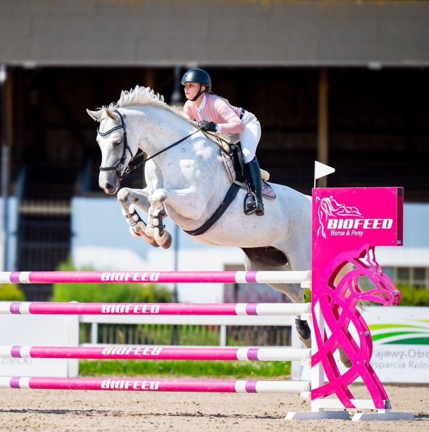 Westfalen springpaard Merrie 10 jaar Schimmel te koop - Foto 2