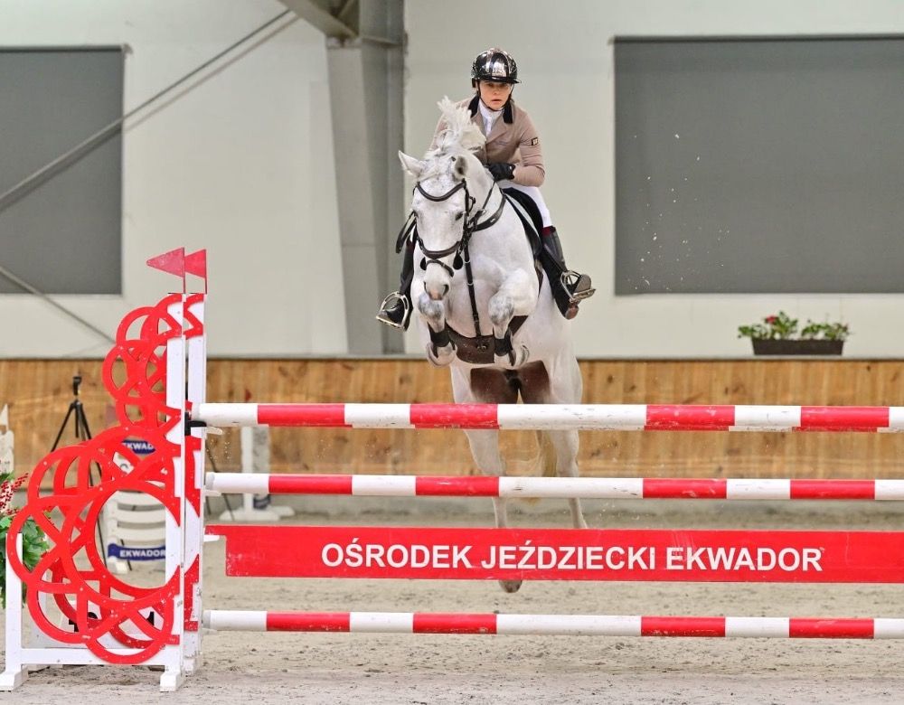 Westfalen springpaard Merrie 10 jaar Schimmel te koop - Foto 6