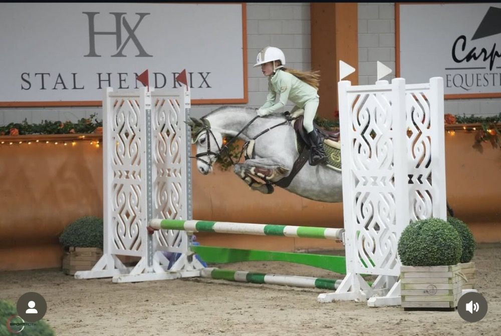 Welsh allround-pony 8 jaar Schimmel te koop - Foto 3