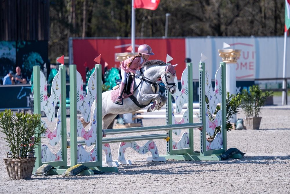 Prachtige C pony te koop