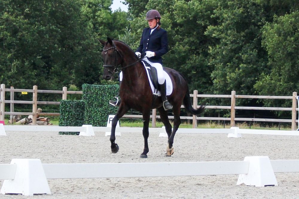 KWPN dressuurpaard Merrie 10 years old Donkerbruin for sale - Photo 6