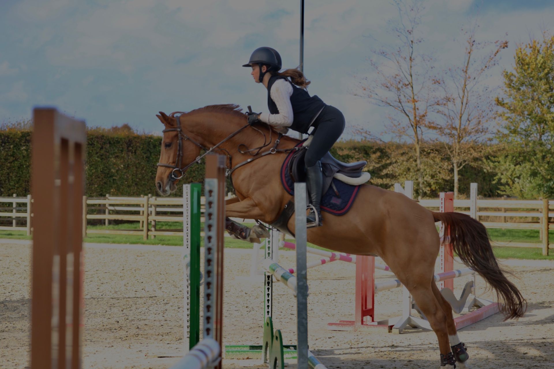 nrps springpony merrie 11 jaar vos te koop - Foto 3
