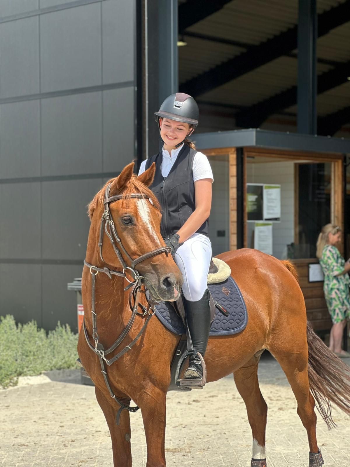 nrps springpony merrie 11 jaar vos te koop - Foto 2