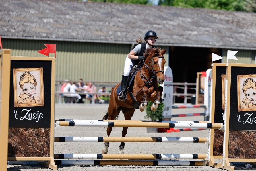 Winnaars springpony