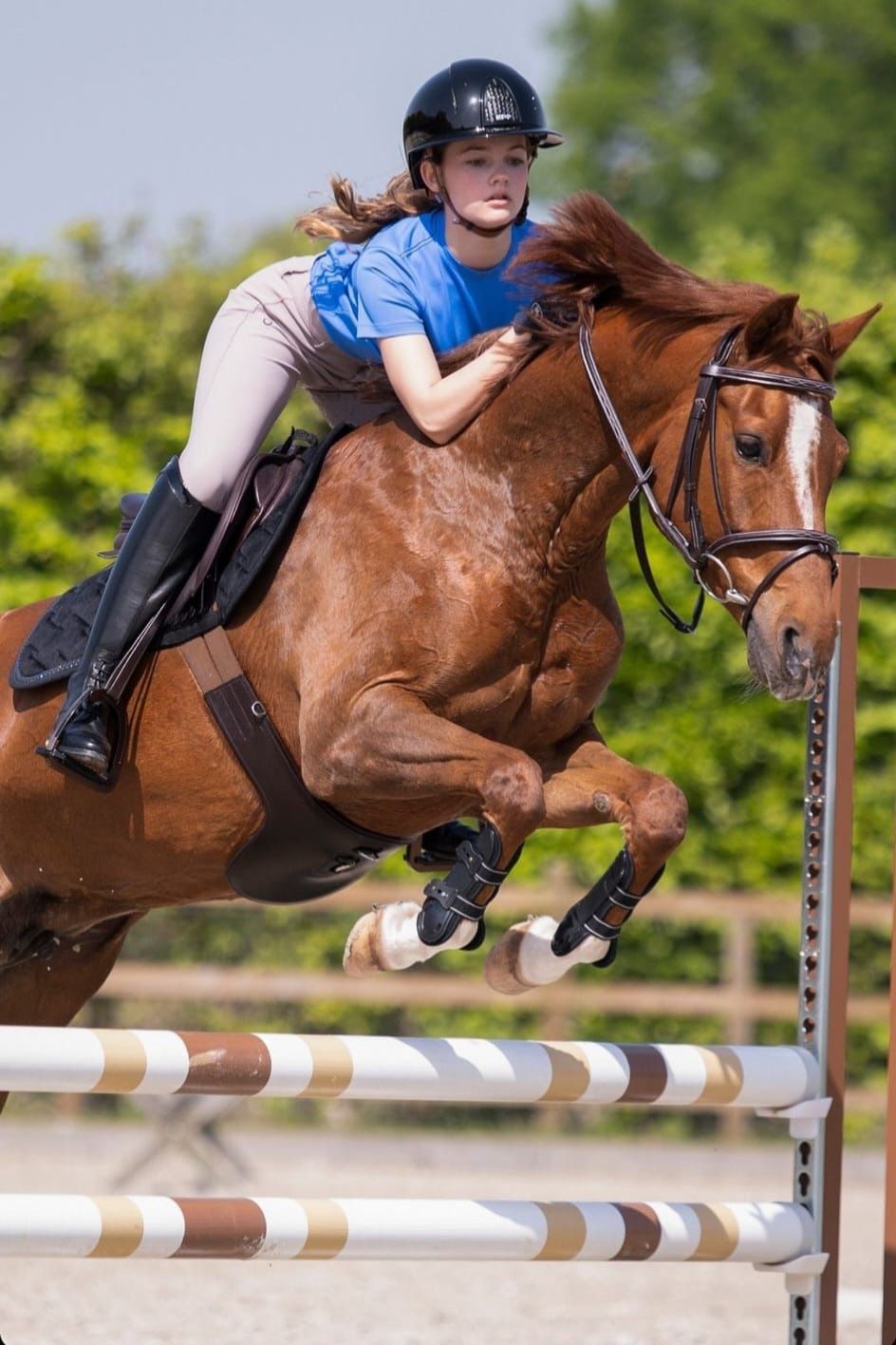 nrps springpony merrie 11 jaar vos te koop - Foto 6