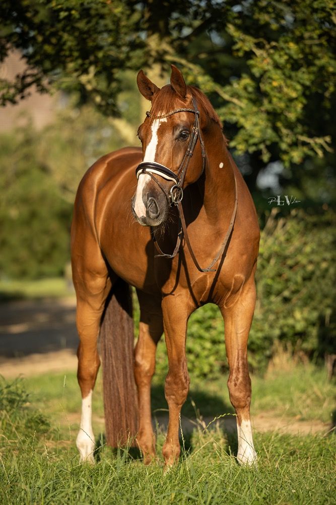 7 jarige eyecatcher