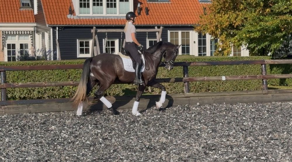 Zeer talentvolle super brave 3,5 jarige ruin