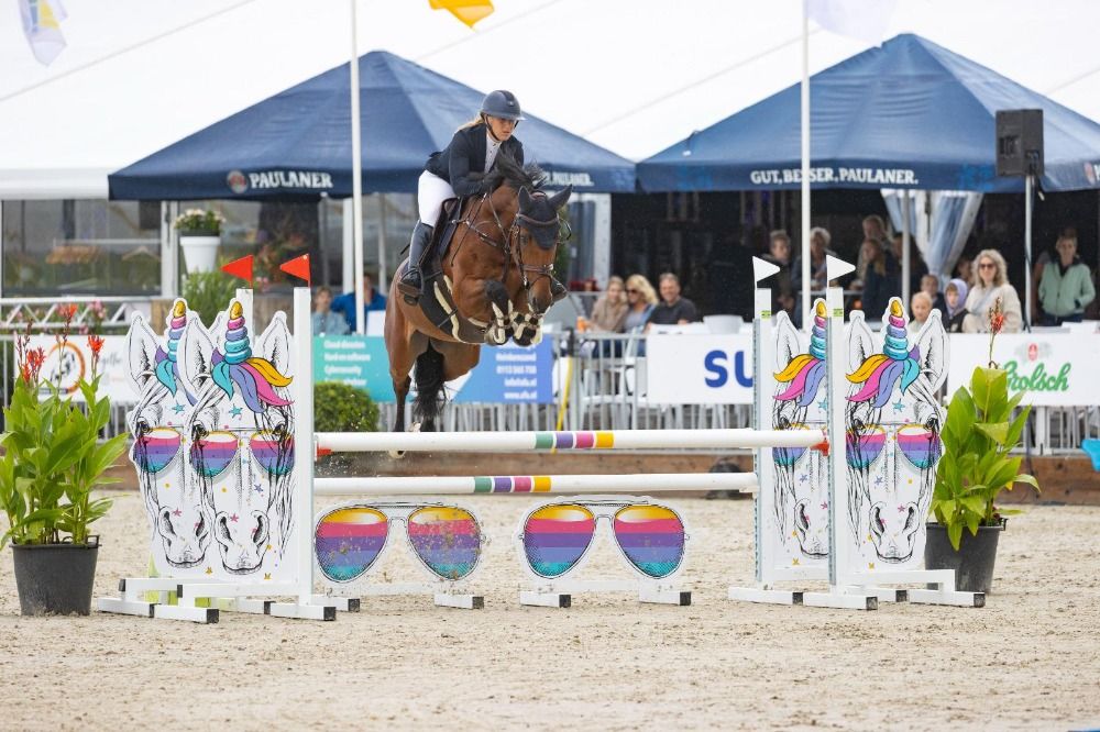 10-jarige ruin, KWPN Kidane NUMERO UNO x RAMIRO G