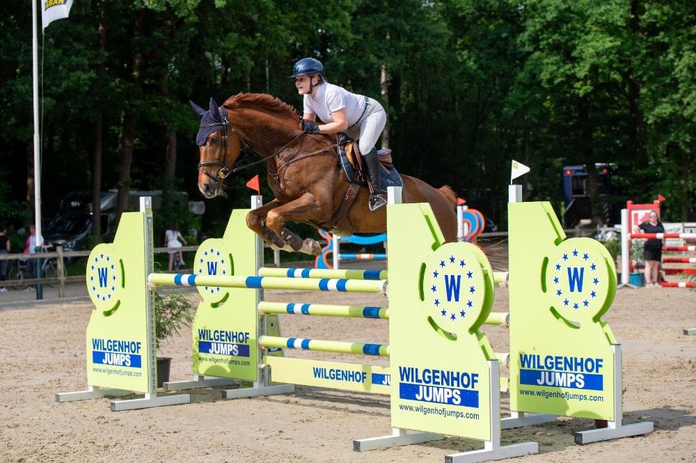 NRPS allrounder Ruin 7 jaar Vos te koop - Foto 3