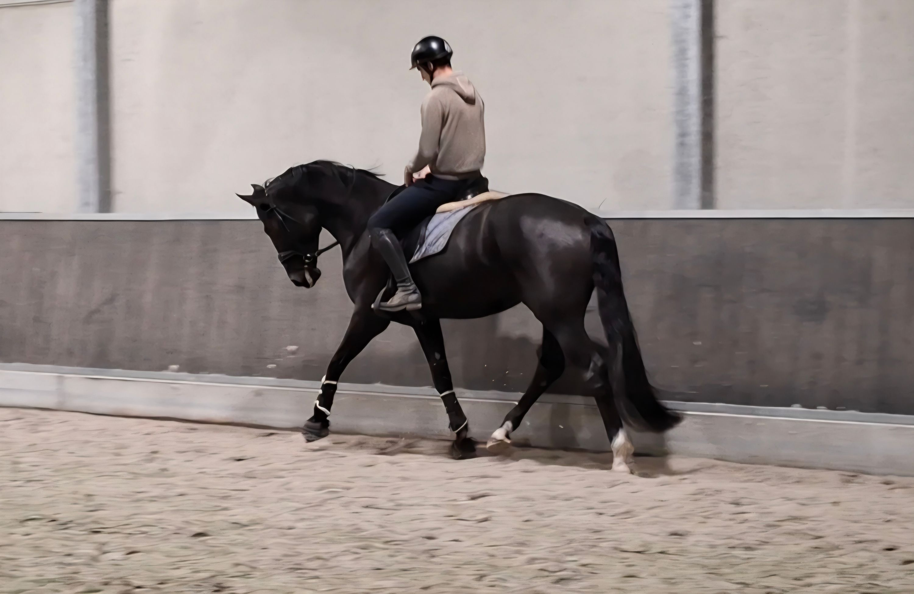 bwp dressuurpaard ruin 4 jaar zwart te koop - Foto 6