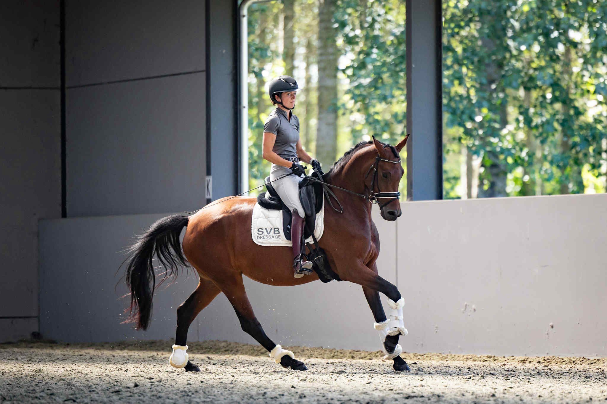 4-jarige merrie van Ferdeaux