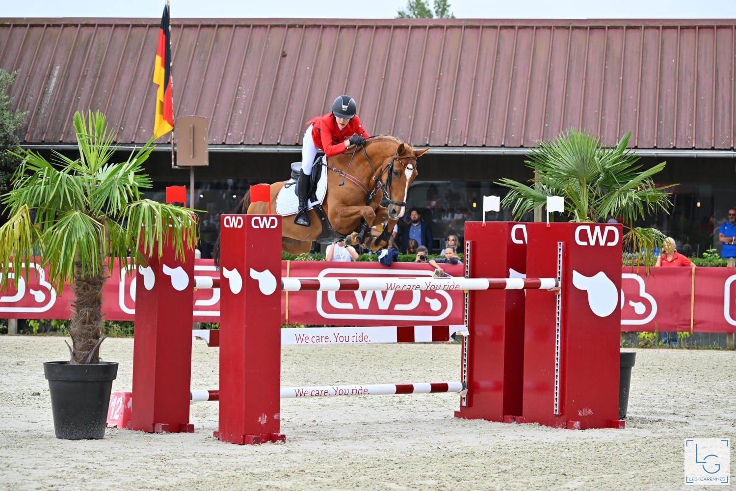 duitse-rijpony springpony ruin 12 歳 vos 売り出し中 - 写真 3