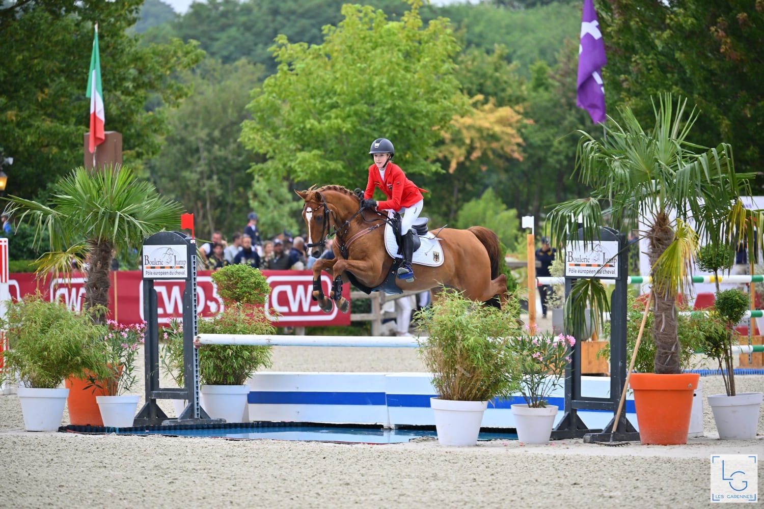 duitse-rijpony springpony ruin 12 歳 vos 売り出し中 - 写真 2