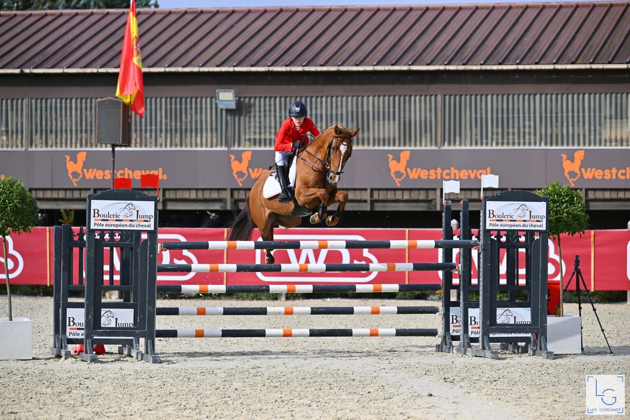 duitse-rijpony springpony ruin 12 歳 vos 売り出し中 - 写真 5