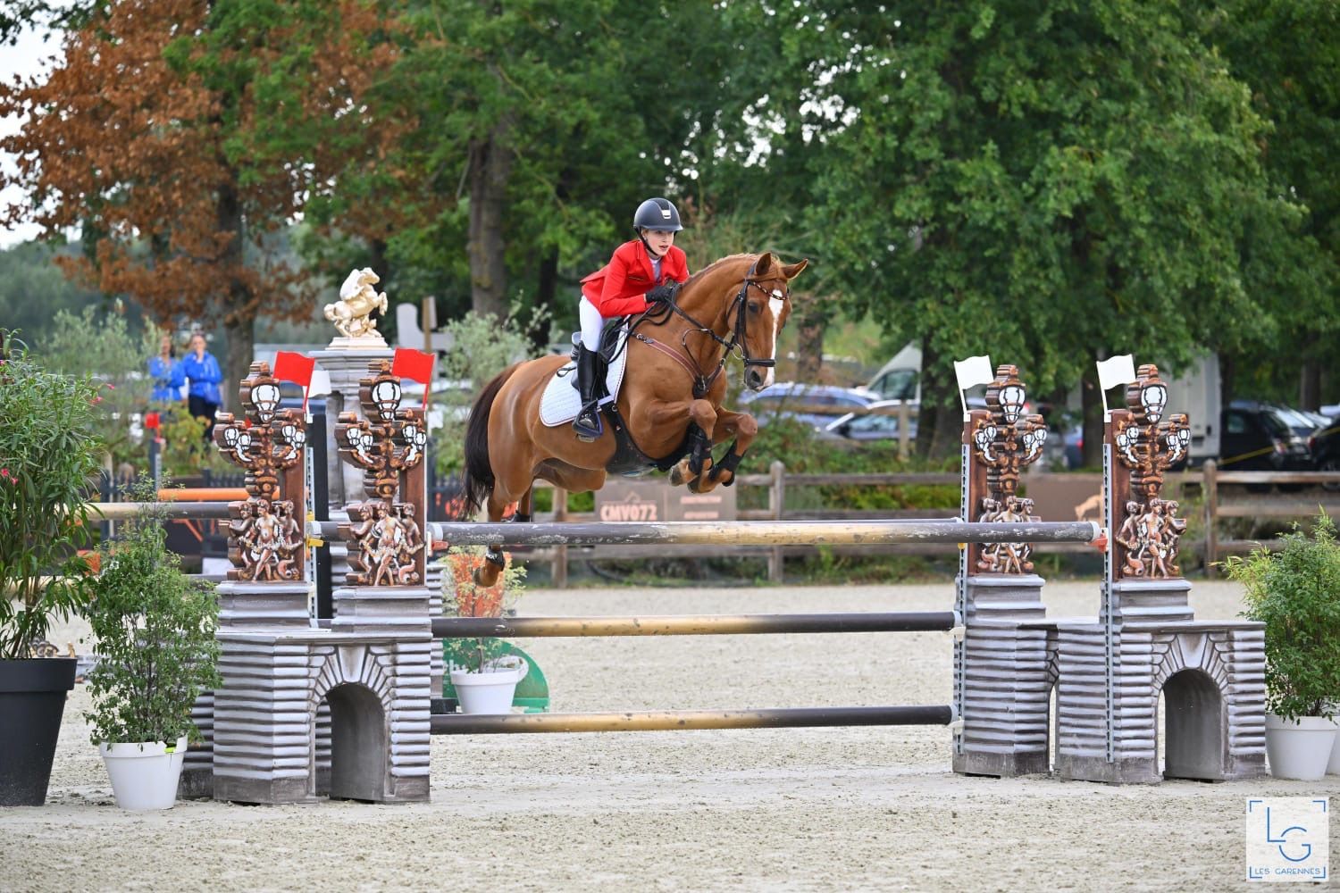 duitse-rijpony springpony ruin 12 歳 vos 売り出し中 - 写真 6