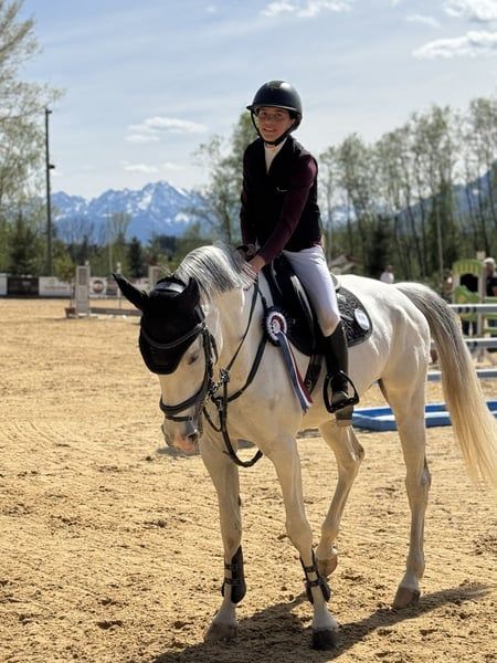 ander springpaard merrie 9 years old schimmel for sale - Photo 4