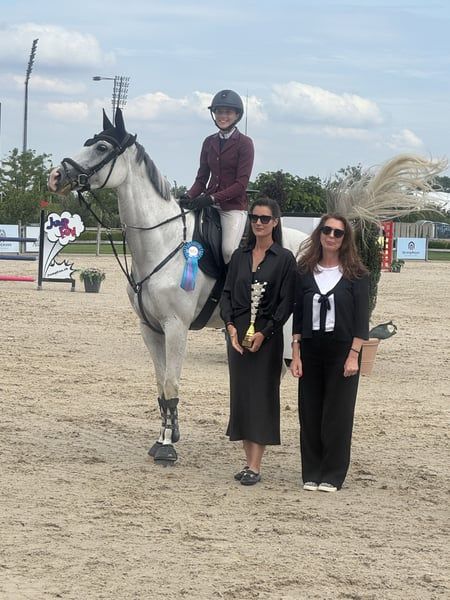 ander springpaard merrie 9 years old schimmel for sale - Photo 5