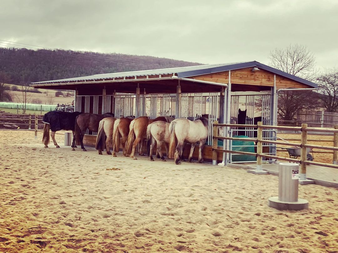 Heuraufen & Futtertröge für Pferde 🐴 Robuste Pferderaufen für die Pferdefütterung - Foto 2